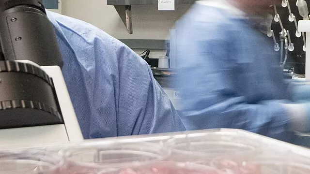 Representative image: Nov 13, 2019 -- U.S. Department of Agriculture (USDA) Agricultural Research Service (ARS) Plum Island Animal Disease Center African Swine fever Research conducted by lead scientist Dr. Manuel Borca and Senior Scientist D