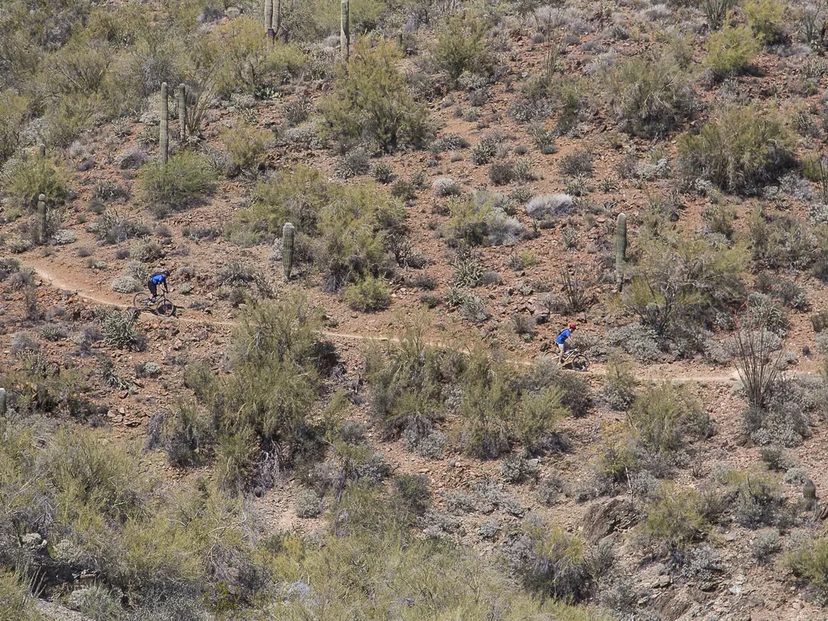 Representative image: People bike through the desert