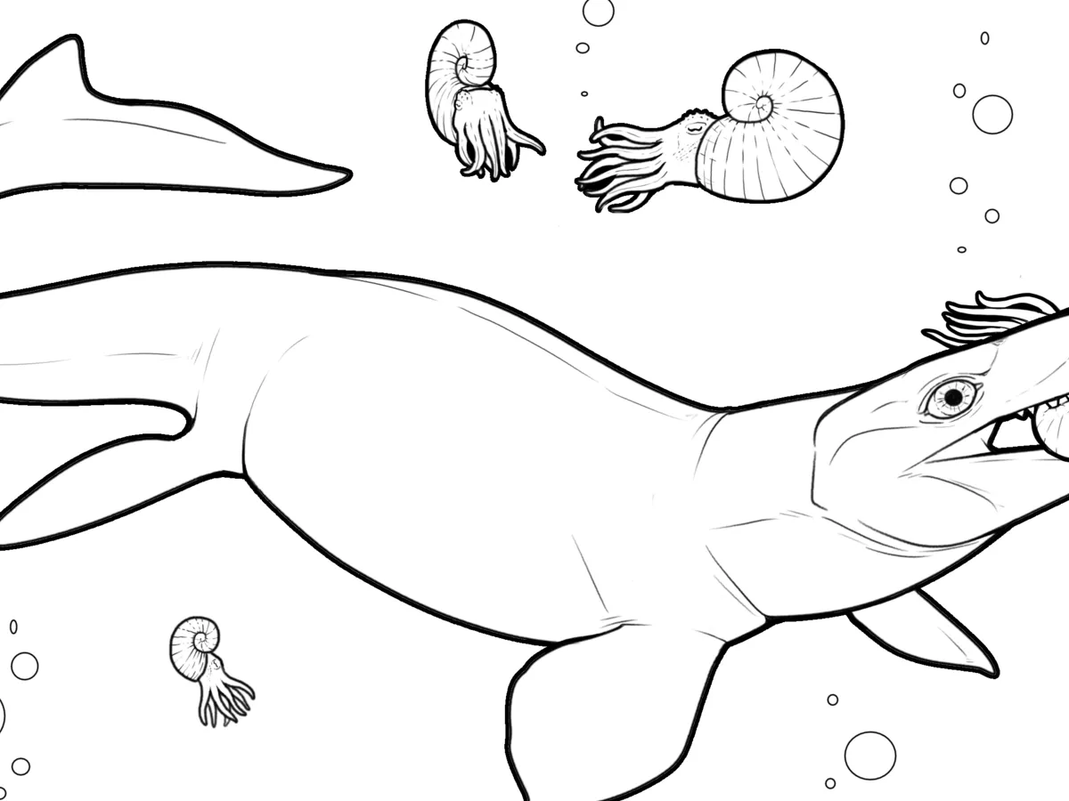 Representative image: line drawing of a large marine reptile swimming underwater with several nautiloids "Proganthodon overtoni" is a marine reptile known as a mosasaur. It lived during the Cretaceous. Fossils of "Proganthodon" have been foun