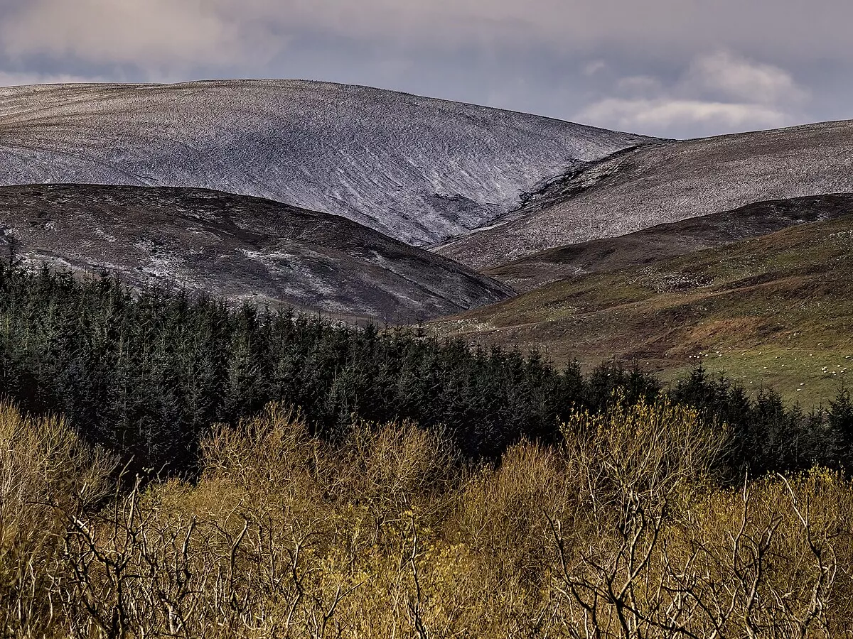 Representative image: Landscape in the Scottish Borders