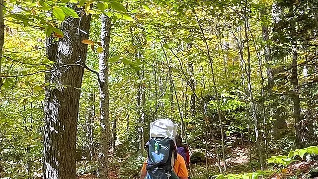 Representative image: Hiker with a large backpack hiking uphill on a forested trail Appalachian National Scenic Trail at Willard Gap in Vermont Keywords: national trails system; trails; appalachian trail; hiker; vermont