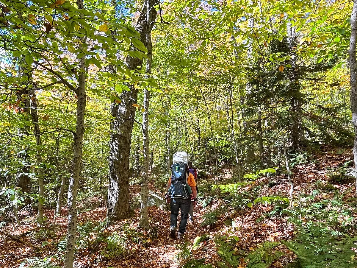 Representative image: Hiker with a large backpack hiking uphill on a forested trail Appalachian National Scenic Trail at Willard Gap in Vermont Keywords: national trails system; trails; appalachian trail; hiker; vermont