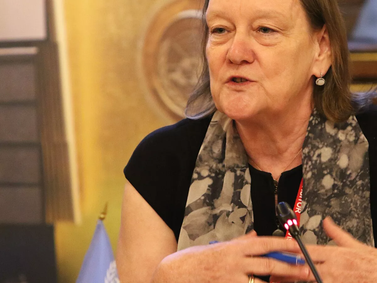 Representative image: Jane Connors, International Advocacy Director Law and Policy for Amnesty International (formerly Director of Research and Right to Development Division at the United Nations Office of the High Commissioner for Human Righ