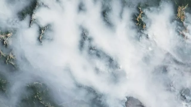 Representative image: In February 2025, multiple fires raged along the eastern slopes of the Andes Mountains in Patagonia. The fires had burned about 30,000 hectares (115 square miles) of forest in south-central Argentina by February 11, forc