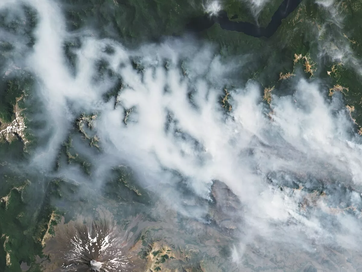 Representative image: In February 2025, multiple fires raged along the eastern slopes of the Andes Mountains in Patagonia. The fires had burned about 30,000 hectares (115 square miles) of forest in south-central Argentina by February 11, forc