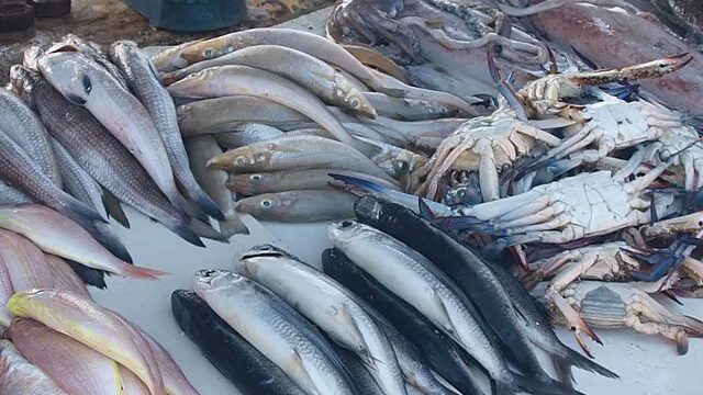 Representative image: Fish vendors in Chennai