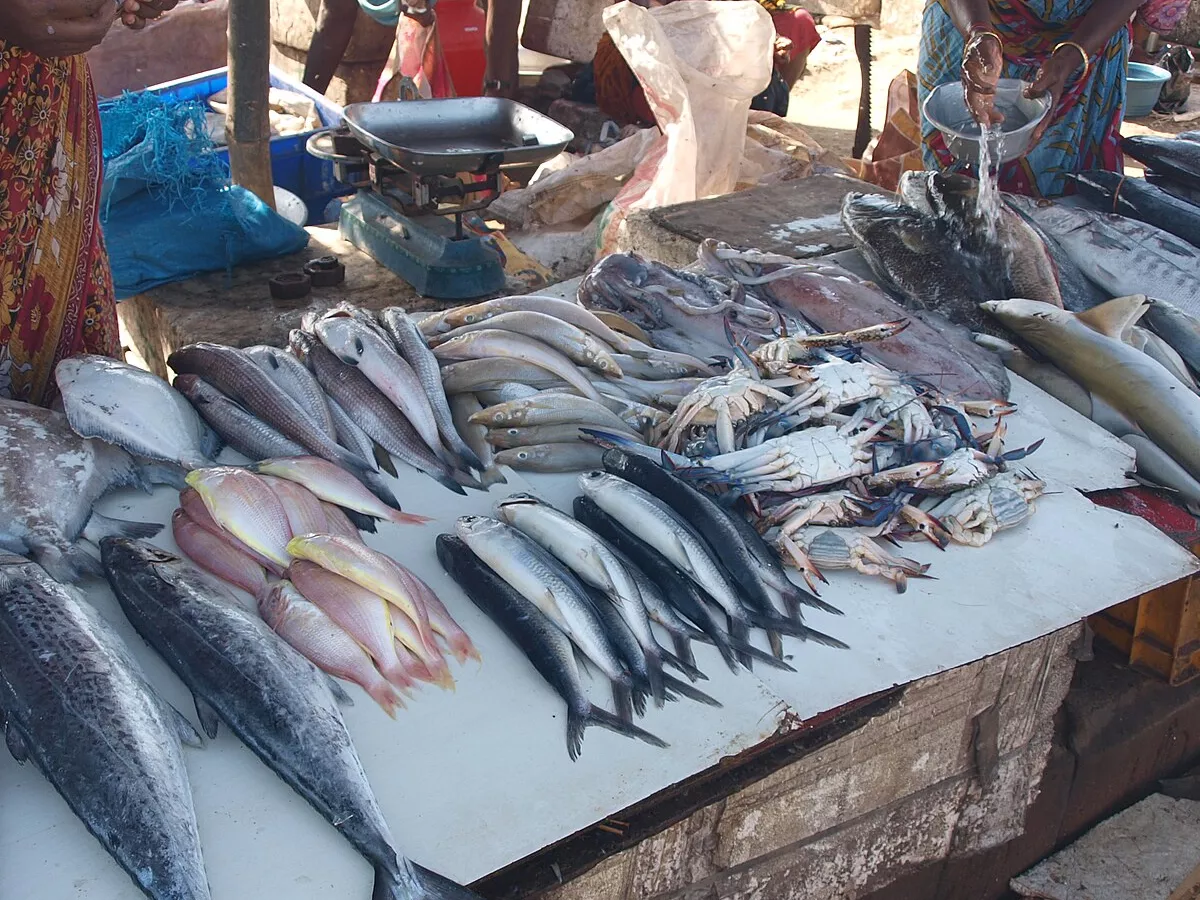 Representative image: Fish vendors in Chennai