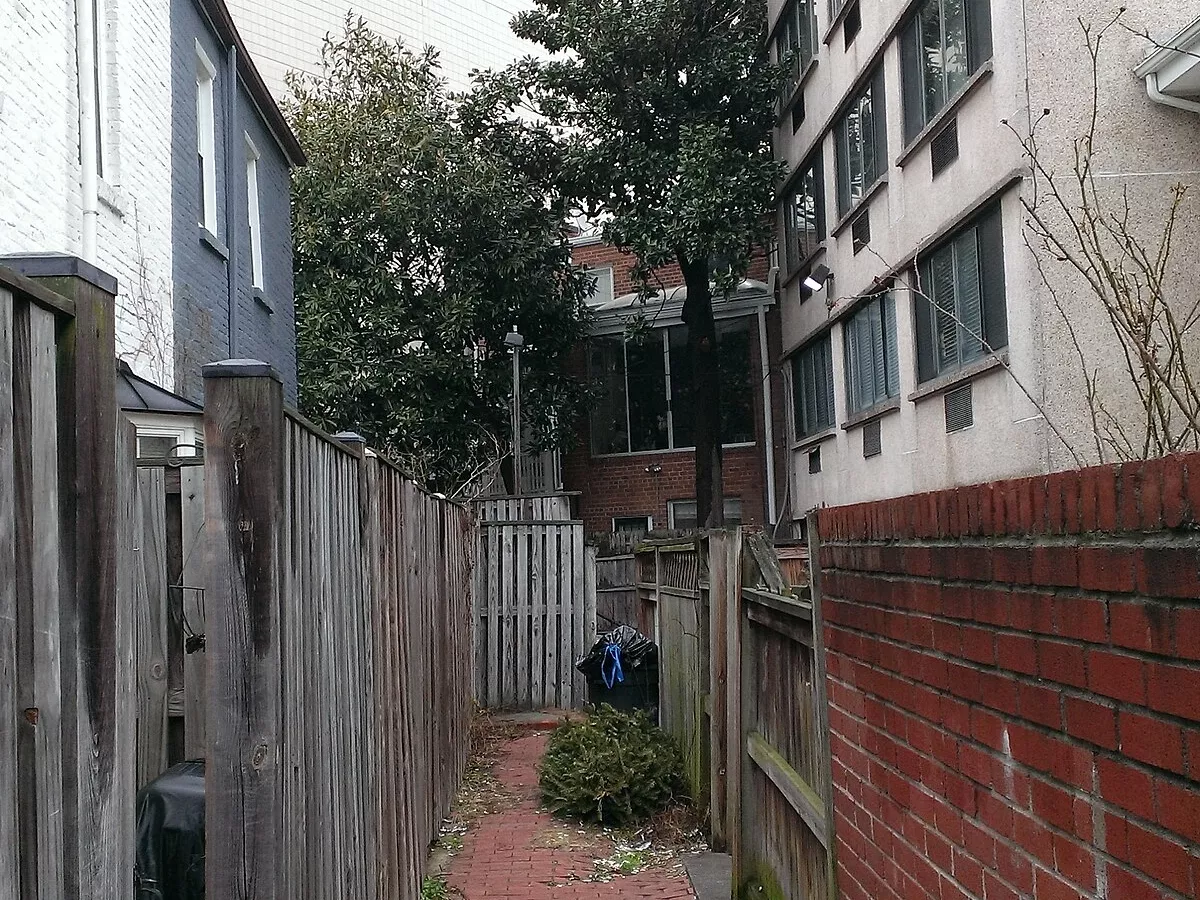 Representative image: Back Alley Behind Houses within Snows Court, Washington DC