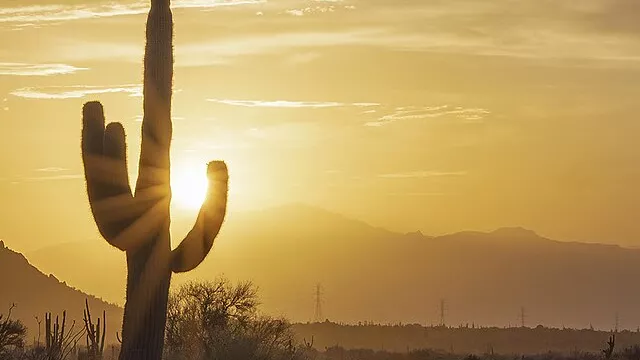 Representative image: The summer of 2023 was the hottest on record in the Phoenix AZ area.