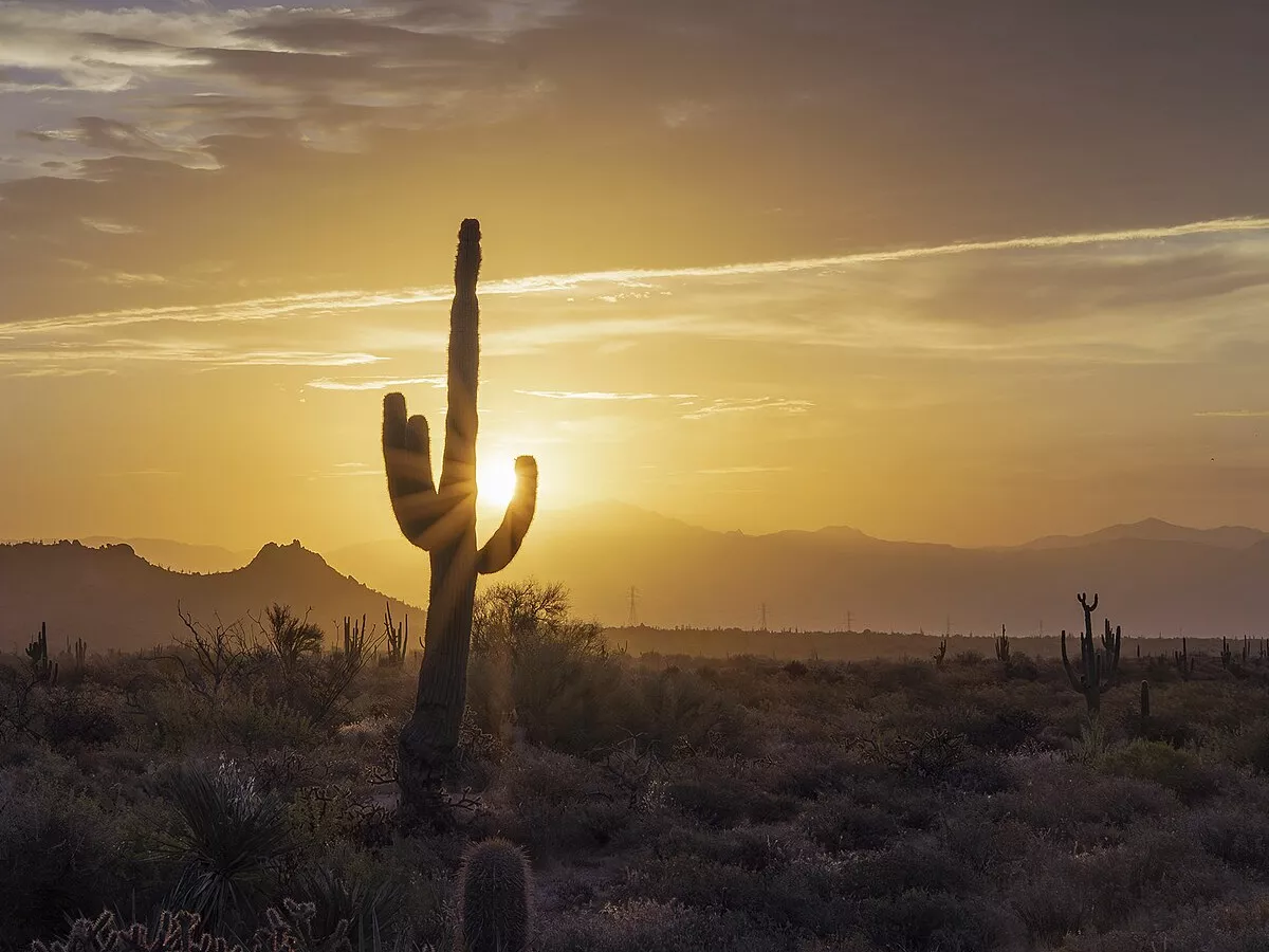 Representative image: The summer of 2023 was the hottest on record in the Phoenix AZ area.