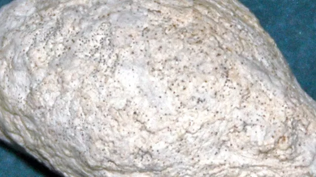 Representative image: Coprolite from the Miocene of Nebraska, USA. (public display, Ashfall Fossil Beds State Historical Park, Nebraska, USA) Fossil biogenic products are objects produced by ancient organisms. Many paleontologists refer to th