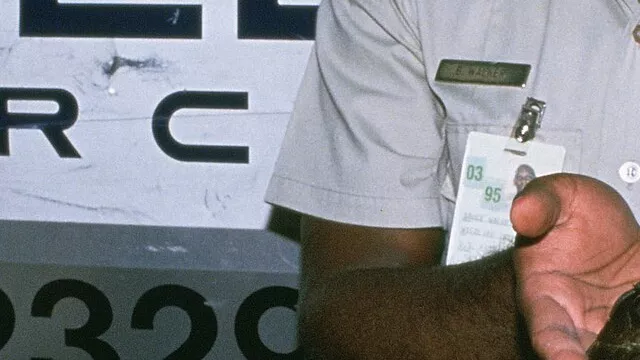 Representative image: Note: Some of the following information may have arrived from the agency cut off or incomplete. Creator: Hollingsworth, John and Karen. Subjects: Law enforcement; Inspection; Confiscation; Reptiles; Turtles; Turtle; Wild
